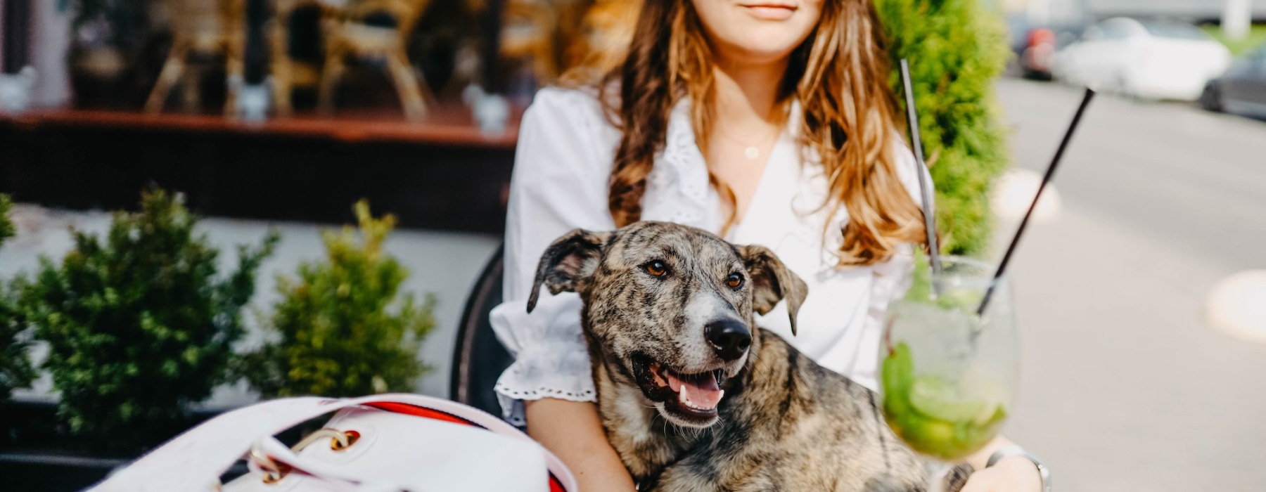 a woman outside with her dog in her lap